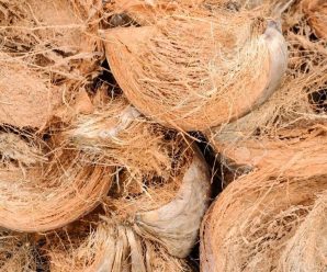 cara membuat kerajinan dari sabut kelapa