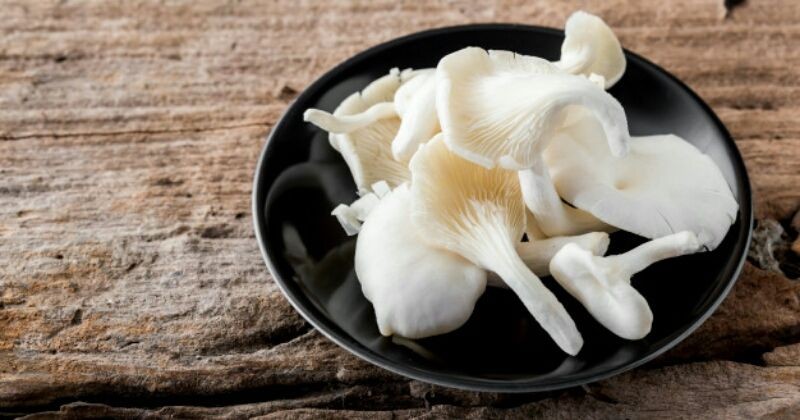 Cara membuat sate jamur tiram teflon